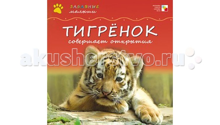 Мозаика-Синтез Книга Забавные малыши Тигренок совершает открытияКнига Забавные малыши Тигренок совершает открытия Мозаика-Синтез Книга Забавные малыши Тигренок совершает открытияКнига Забавные малыши Тигренок совершает открытияМозаика-Синтез Книга Забавные малыши Тигренок совершает открытия. Красочная книга для детей про животных с красивыми фотографиями. Малышам очень понравится узнавать о жизни маленького тигренка, о том, как он проводит свой день. Яркие реалистичные фотографии привлекут внимание не только малышей, но и взрослых. Очень удобные квадратные странички легко перелистывать, бумага плотная хорошего качества. Крупный текст удобно читается на ярком фоне страниц. В начале книжки есть общая информация о больших кошках, сама книга наполнена очень красочными фотографиями, а в конце есть страничка с вопросами, на которые можно отвечать вместе с ребенком.<br>