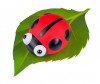 BabyOno Ночник Тук-тук Божья коровка