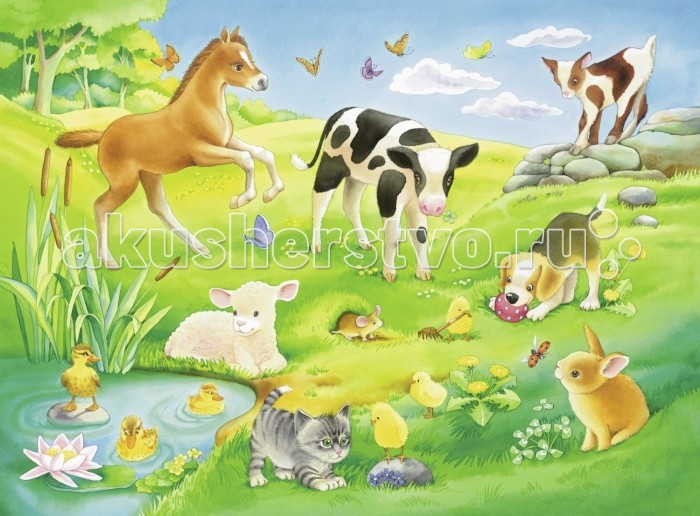 Ravensburger Пазл Малыши животных на лугу 16 элементовПазл Малыши животных на лугу 16 элементов Ravensburger Пазл Малыши животных на лугу 16 элементовПазл Малыши животных на лугу 16 элементовПаззл Ravensburger: От частицы к частице – всё высшее качество Отсутствие двух одинаковых деталей обеспечено использованием вручную изготовленного инструментария Частицы идеально соединяются Матовая поверхность исключает неприятные отблески Прочные детали не ломаются Изготовлено из экологического сырья Количество деталей паззла: 16 Размер картинки: 49х36 см. Материал: картон и бумага, части устойчивы к сгибанию<br>