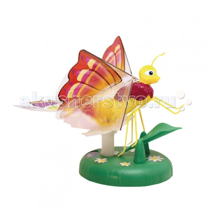 http://www.akusherstvo.ru/images/magaz/splash_toys_igrushka_letayushchaya_babochka-247213.jpg