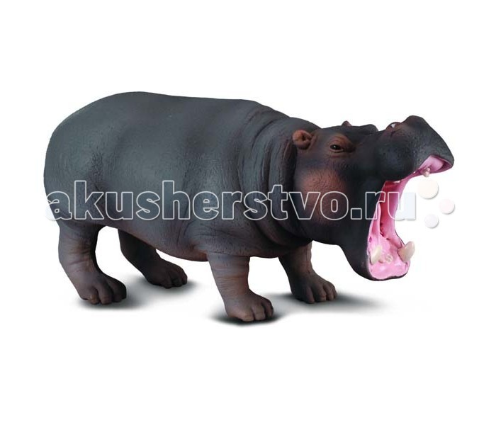 

Gulliver Collecta Фигурка Гиппопотам 13 см