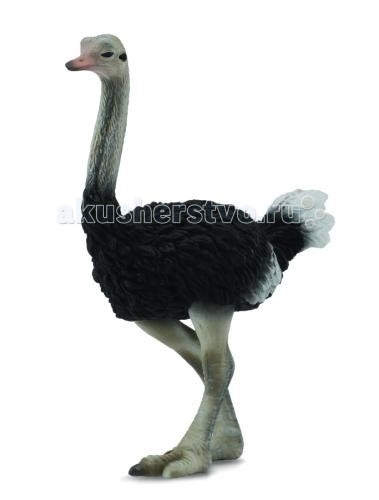 

Gulliver Collecta Фигурка Страуса L